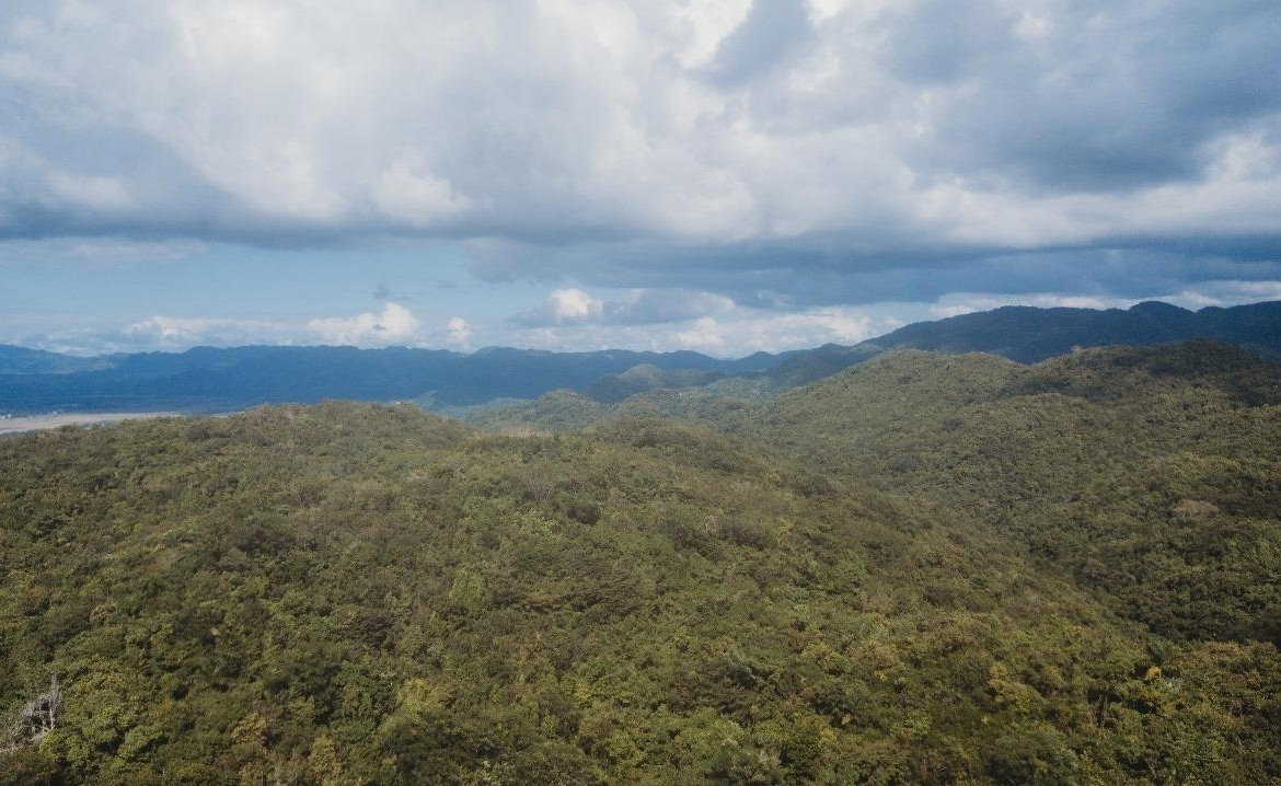 Fifth image of Cave in Cave, Westmoreland, Jamaica - property is For Sale