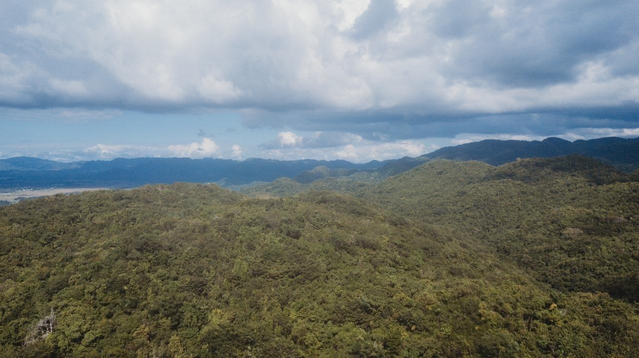 Fifth image of Cave in Cave, Westmoreland, Jamaica - property is For Sale