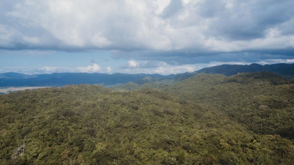 Fifth image of Cave in Cave, Westmoreland, Jamaica - property is For Sale
