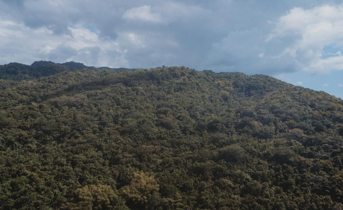 Sixth image of Cave in Cave, Westmoreland, Jamaica - property is For Sale