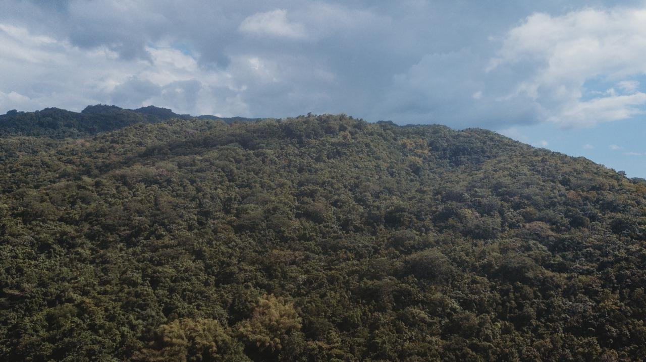 Sixth image of Cave in Cave, Westmoreland, Jamaica - property is For Sale