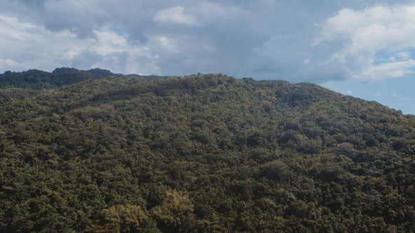 Sixth image of Cave in Cave, Westmoreland, Jamaica - property is For Sale