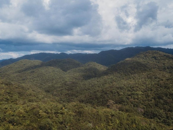 First image of Cave in Cave, Westmoreland, Jamaica - property is For Sale