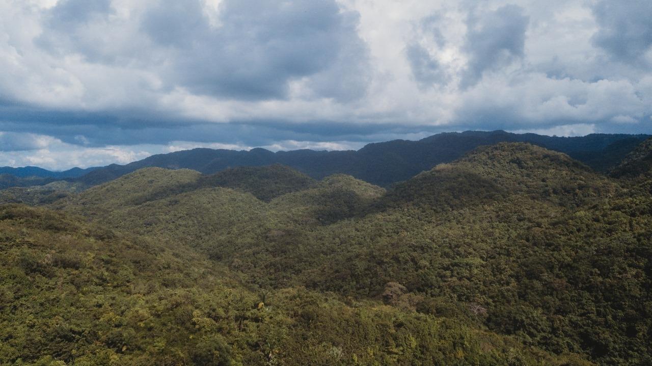 First image of Cave in Cave, Westmoreland, Jamaica - property is For Sale