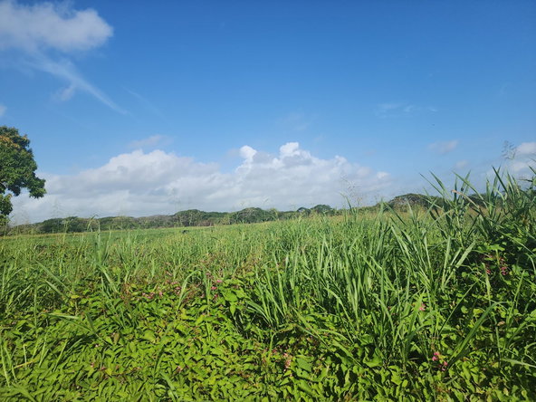 Second image of Wilkins Lane, Bushy Park in Bushy Park, St. Catherine, Jamaica - property is For Sale