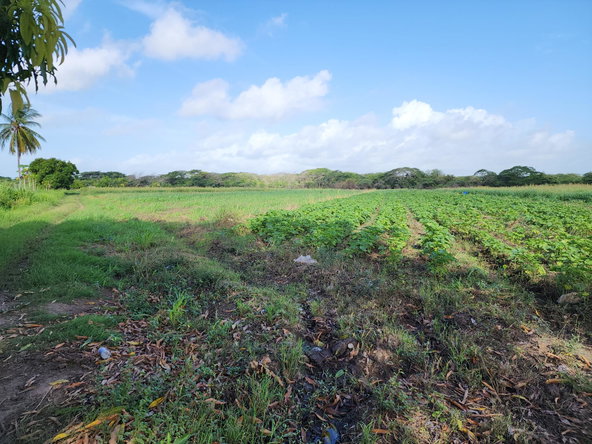 Third image of Wilkins Lane, Bushy Park in Bushy Park, St. Catherine, Jamaica - property is For Sale