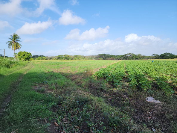 Fifth image of Wilkins Lane, Bushy Park in Bushy Park, St. Catherine, Jamaica - property is For Sale