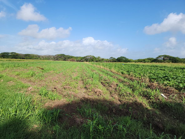 Sixth image of Wilkins Lane, Bushy Park in Bushy Park, St. Catherine, Jamaica - property is For Sale