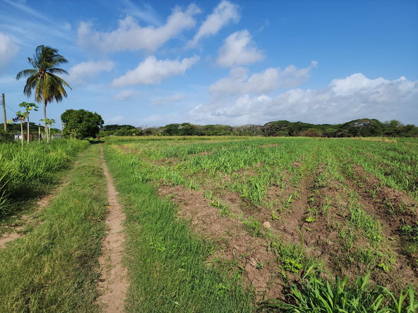 Eighth image of Wilkins Lane, Bushy Park in Bushy Park, St. Catherine, Jamaica - property is For Sale