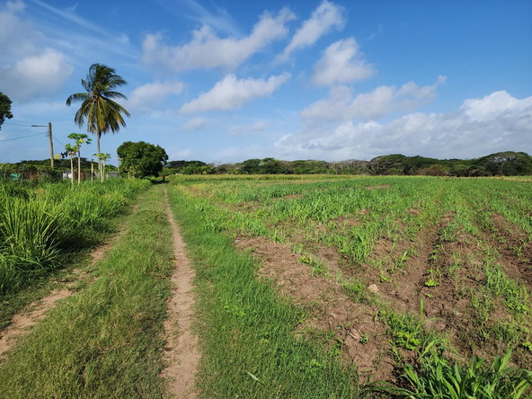 Ninth image of Wilkins Lane, Bushy Park in Bushy Park, St. Catherine, Jamaica - property is For Sale