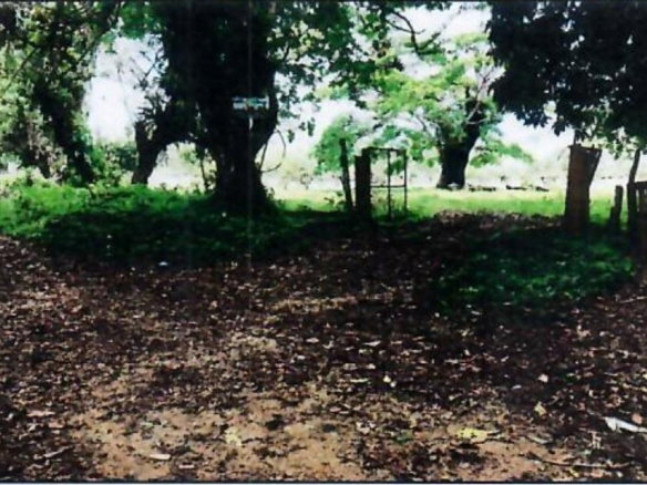 First image of 1c Goshen in Goshen, St. Ann, Jamaica - property is For Sale