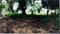 First image of 1c Goshen in Goshen, St. Ann, Jamaica - property is For Sale
