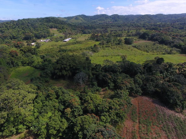 Fifth image of 1d Goshen in Goshen, St. Ann, Jamaica - property is For Sale