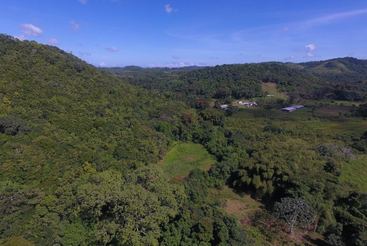 Seventh image of 1d Goshen in Goshen, St. Ann, Jamaica - property is For Sale