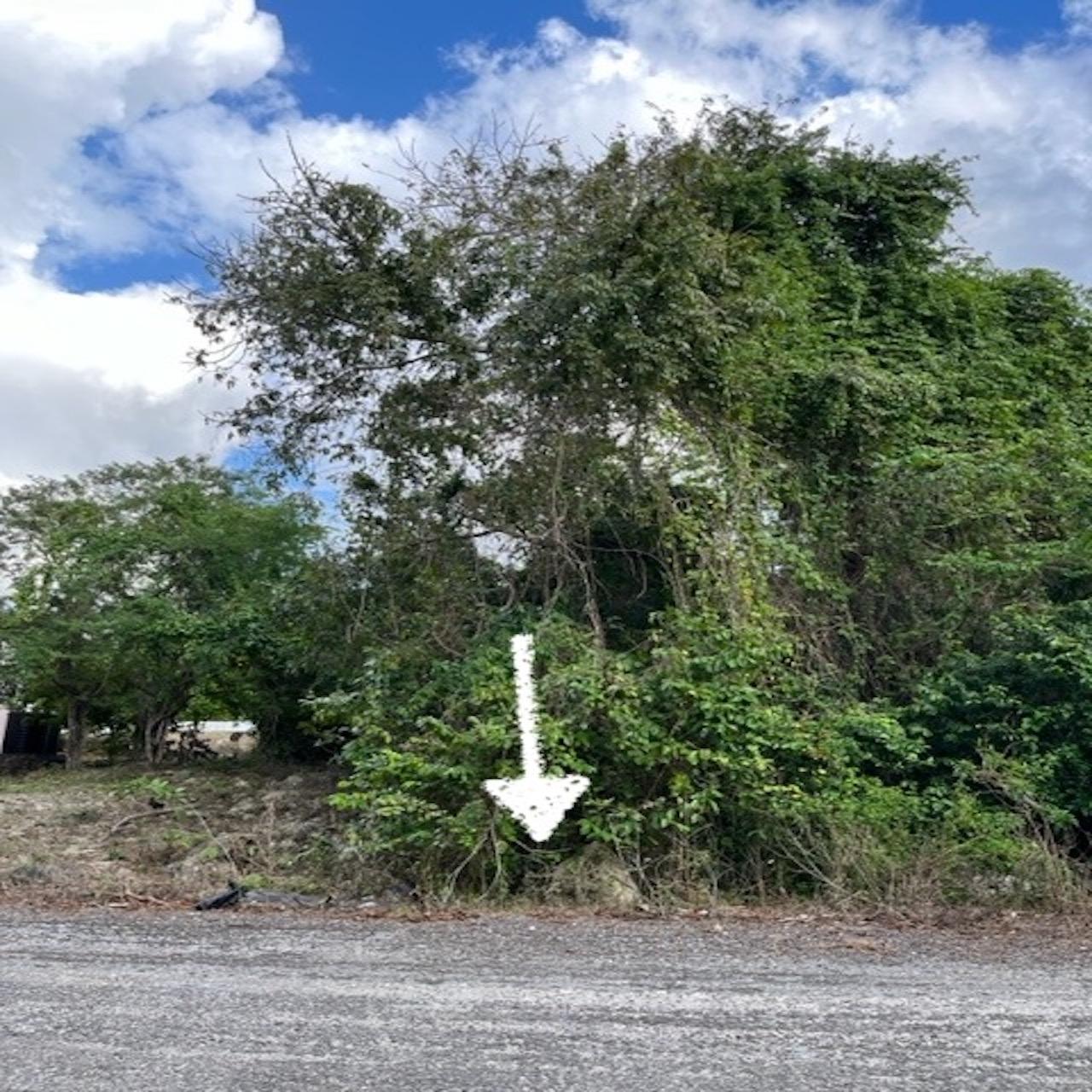 Fifth image of Lot # 84 Westlands, Negril in Negril, Westmoreland, Jamaica - property is For Sale