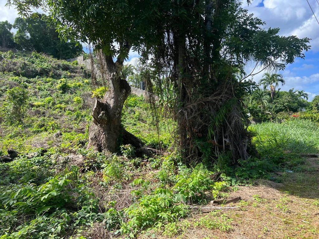 Third image of Lot#39- Ocean Ridge,tower Isle, s in Ocean Ridge, St. Mary, Jamaica - property is For Sale
