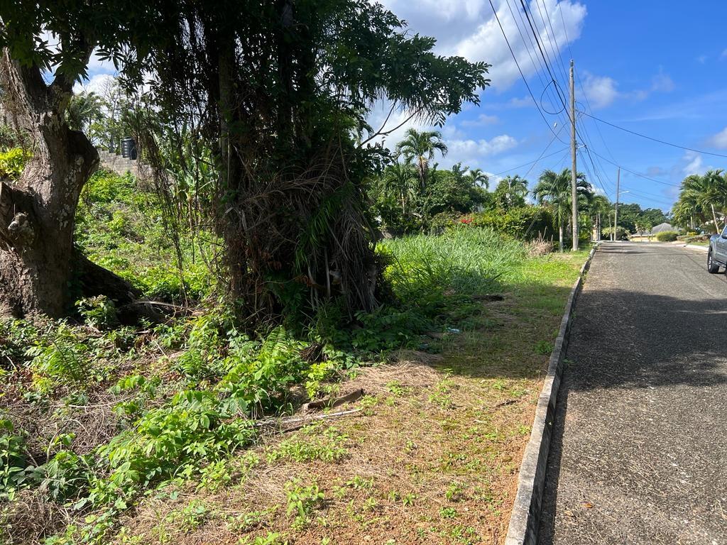 Fourth image of Lot#39- Ocean Ridge,tower Isle, s in Ocean Ridge, St. Mary, Jamaica - property is For Sale