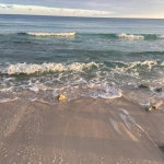 First image of Lot-361 Duncans Avenue in Duncans, Trelawny, Jamaica - property is For Sale