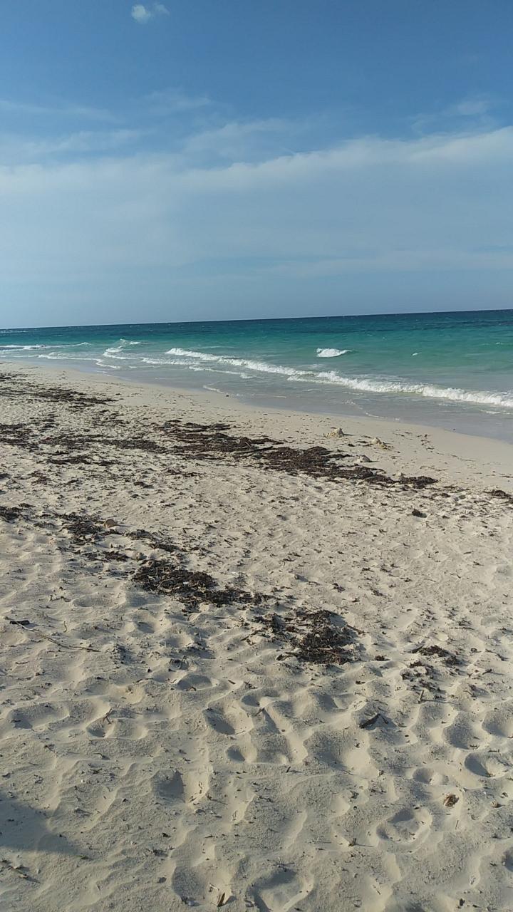 Fifth image of Lot-361 Duncans Avenue in Duncans, Trelawny, Jamaica - property is For Sale