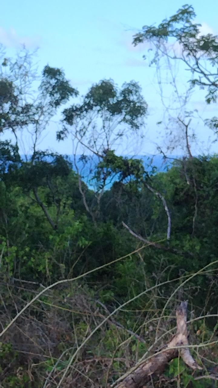 Sixth image of Lot-361 Duncans Avenue in Duncans, Trelawny, Jamaica - property is For Sale