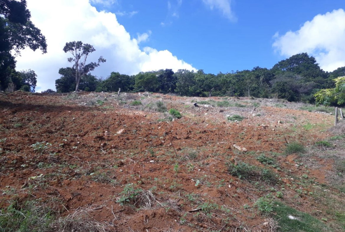 Second image of Splitbergen, Chudleigh in Christiana, Manchester, Jamaica - property is For Sale