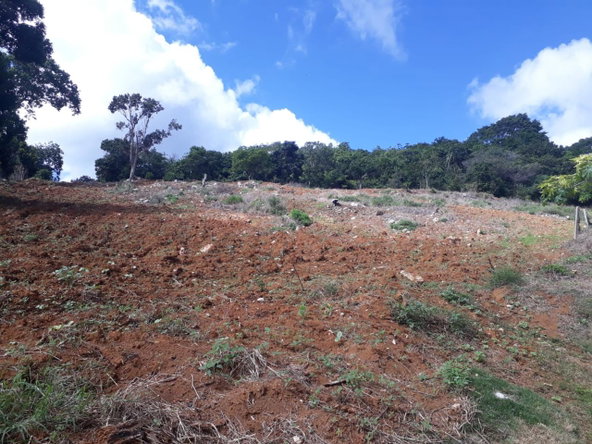 Second image of Splitbergen, Chudleigh in Christiana, Manchester, Jamaica - property is For Sale