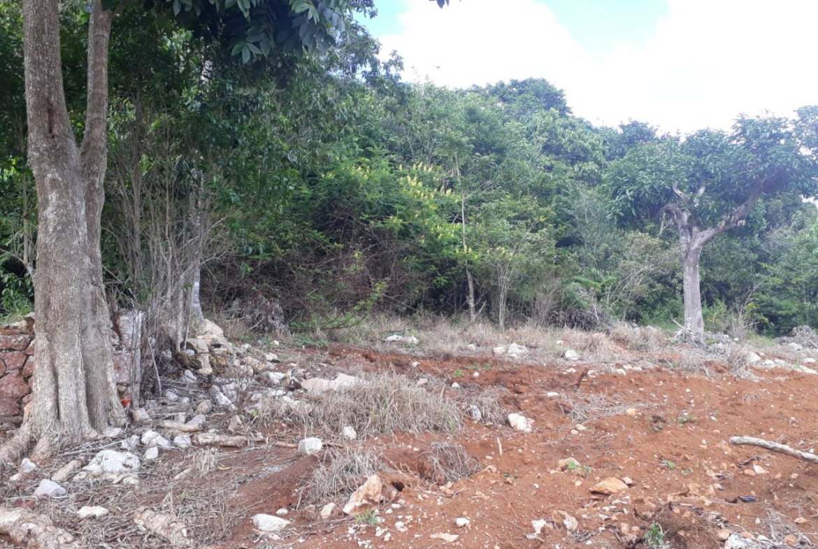 Eleventh image of Splitbergen, Chudleigh in Christiana, Manchester, Jamaica - property is For Sale
