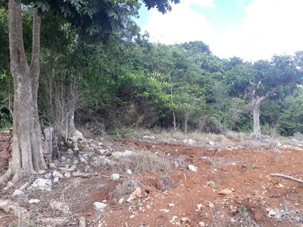 Eleventh image of Splitbergen, Chudleigh in Christiana, Manchester, Jamaica - property is For Sale