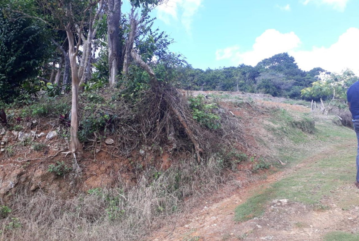 Twelfth image of Splitbergen, Chudleigh in Christiana, Manchester, Jamaica - property is For Sale