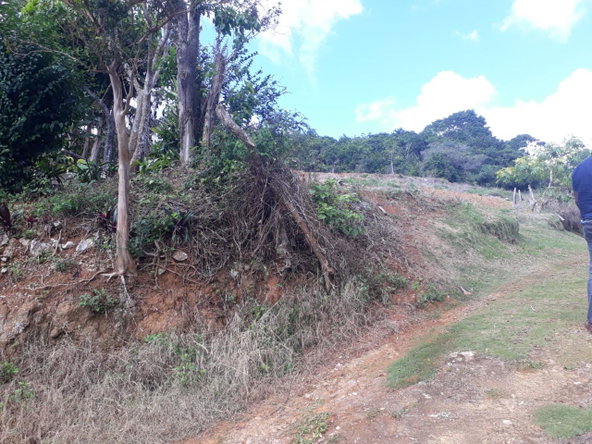 Twelfth image of Splitbergen, Chudleigh in Christiana, Manchester, Jamaica - property is For Sale