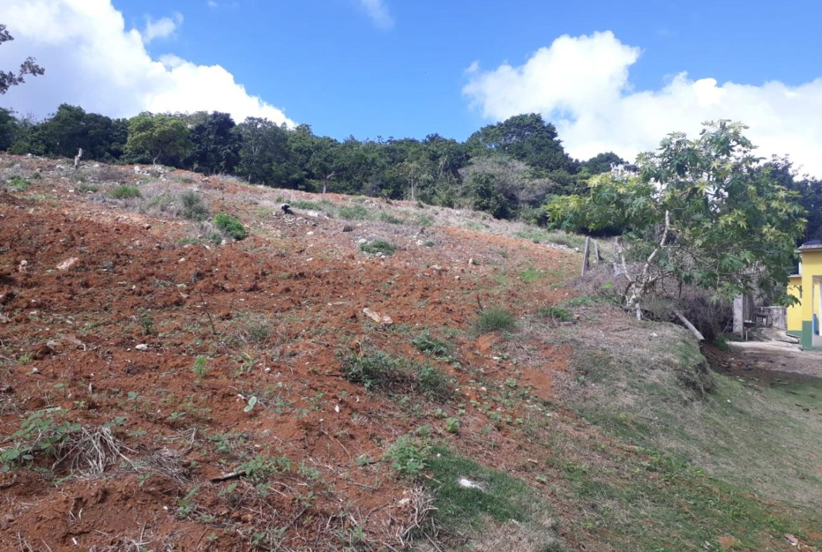 First image of Splitbergen, Chudleigh in Christiana, Manchester, Jamaica - property is For Sale