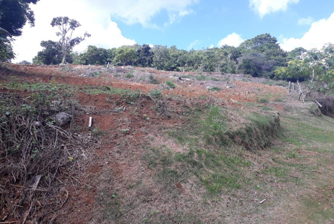 Thirteenth image of Splitbergen, Chudleigh in Christiana, Manchester, Jamaica - property is For Sale
