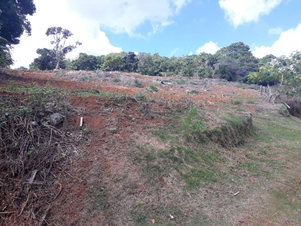 Thirteenth image of Splitbergen, Chudleigh in Christiana, Manchester, Jamaica - property is For Sale