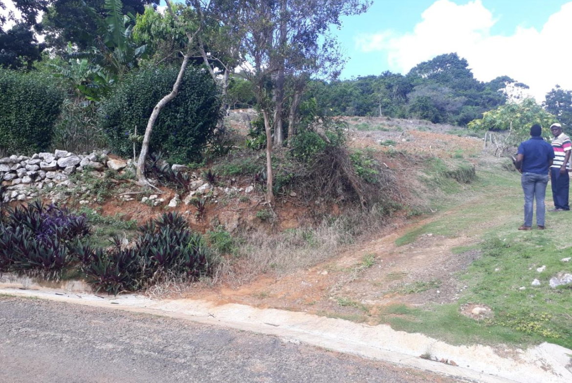 Fourteenth image of Splitbergen, Chudleigh in Christiana, Manchester, Jamaica - property is For Sale