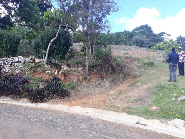 Fourteenth image of Splitbergen, Chudleigh in Christiana, Manchester, Jamaica - property is For Sale