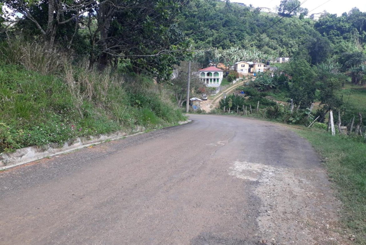 Sixteenth image of Splitbergen, Chudleigh in Christiana, Manchester, Jamaica - property is For Sale