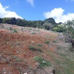 First image of Splitbergen, Chudleigh in Christiana, Manchester, Jamaica - property is For Sale