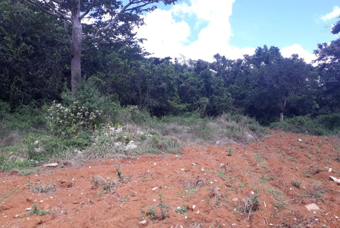 Third image of Splitbergen, Chudleigh in Christiana, Manchester, Jamaica - property is For Sale