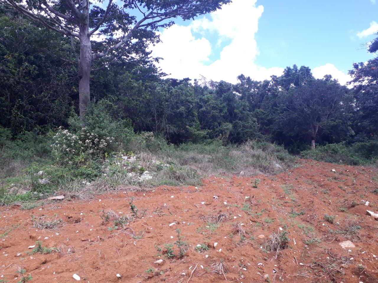 Prime-Residential-Development-Land-for-Sale-in-Chudleigh-Jamaica Third image of Splitbergen, Chudleigh in Christiana, Manchester, Jamaica - property is For Sale