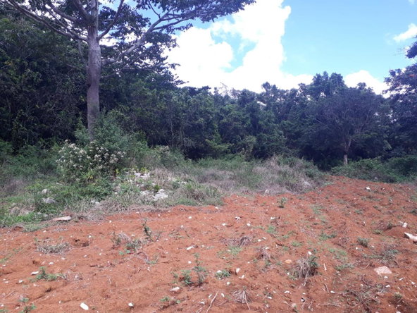 Third image of Splitbergen, Chudleigh in Christiana, Manchester, Jamaica - property is For Sale