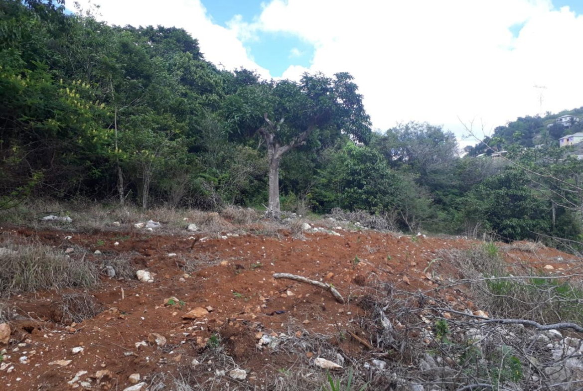 Fourth image of Splitbergen, Chudleigh in Christiana, Manchester, Jamaica - property is For Sale