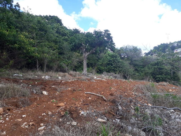 Fourth image of Splitbergen, Chudleigh in Christiana, Manchester, Jamaica - property is For Sale