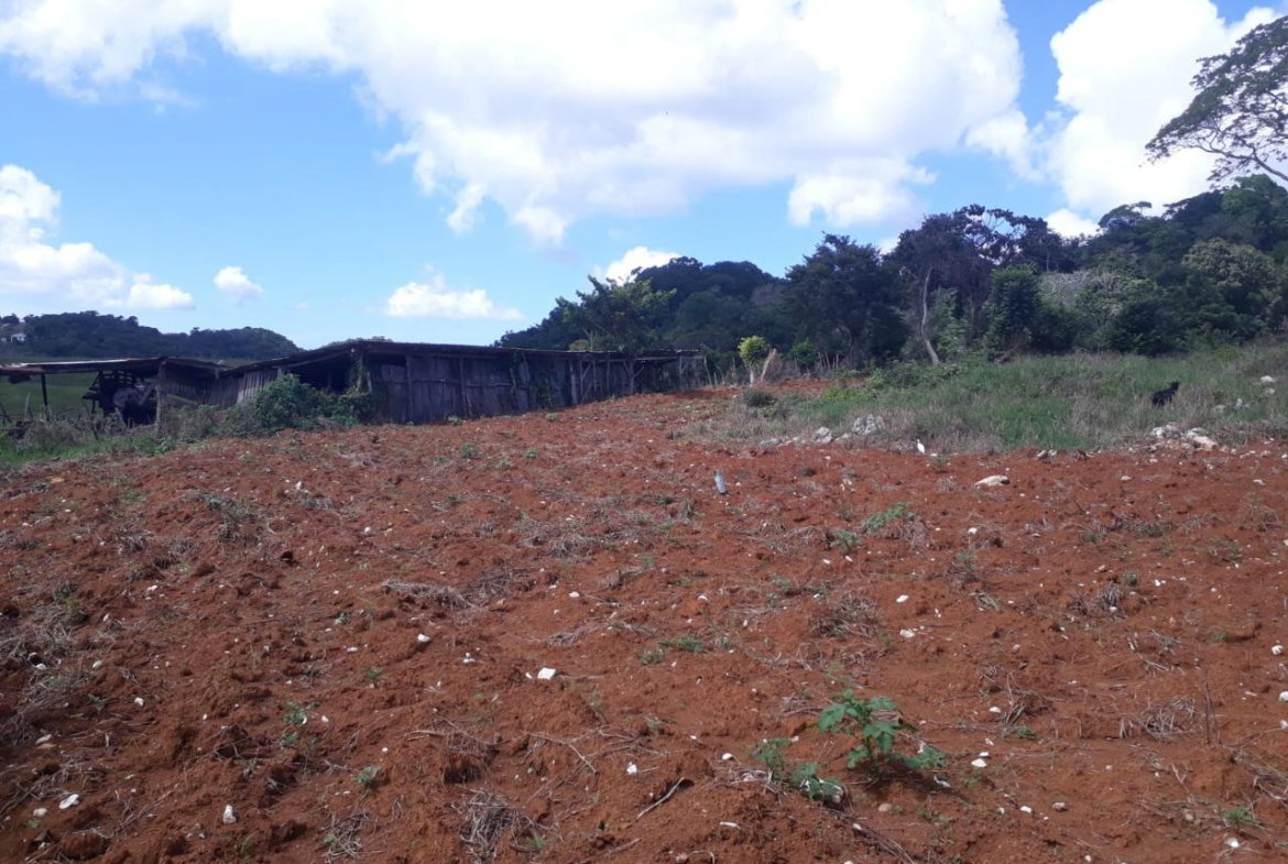 Fifth image of Splitbergen, Chudleigh in Christiana, Manchester, Jamaica - property is For Sale
