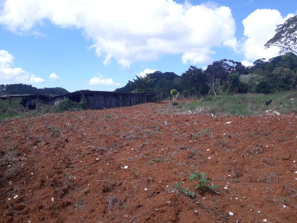 Fifth image of Splitbergen, Chudleigh in Christiana, Manchester, Jamaica - property is For Sale