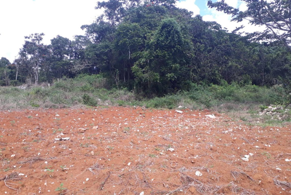 Sixth image of Splitbergen, Chudleigh in Christiana, Manchester, Jamaica - property is For Sale
