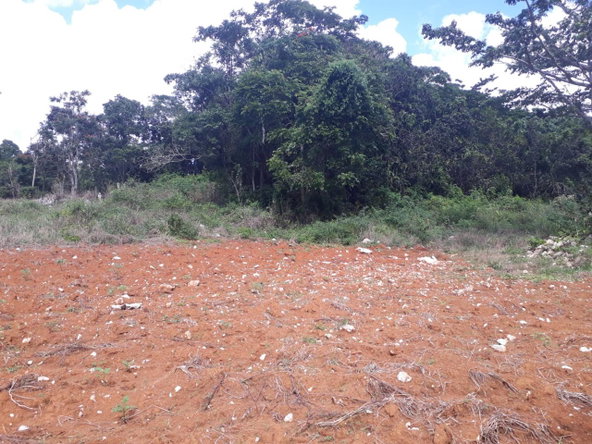 Sixth image of Splitbergen, Chudleigh in Christiana, Manchester, Jamaica - property is For Sale