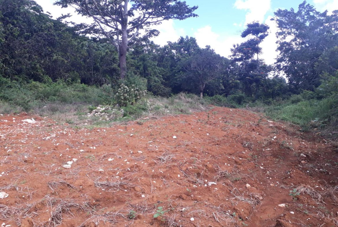 Seventh image of Splitbergen, Chudleigh in Christiana, Manchester, Jamaica - property is For Sale