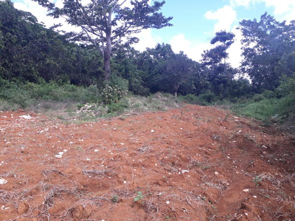 Seventh image of Splitbergen, Chudleigh in Christiana, Manchester, Jamaica - property is For Sale