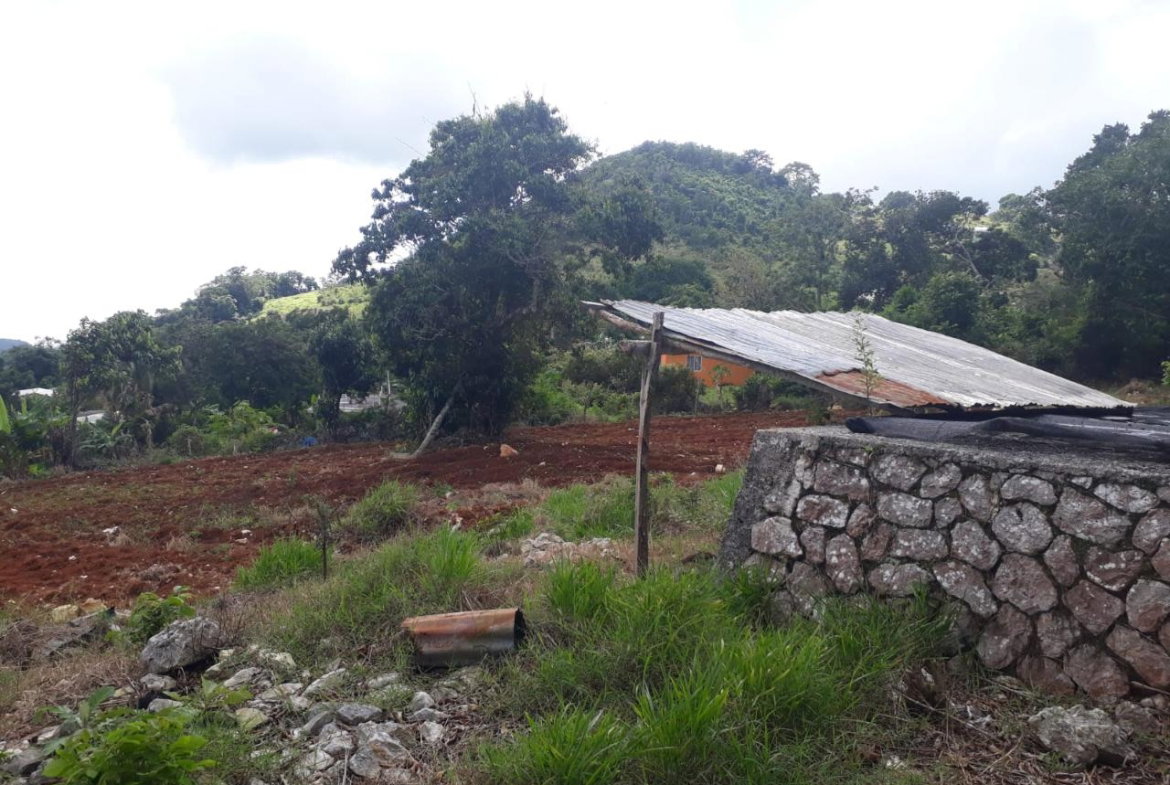 Eighth image of Splitbergen, Chudleigh in Christiana, Manchester, Jamaica - property is For Sale
