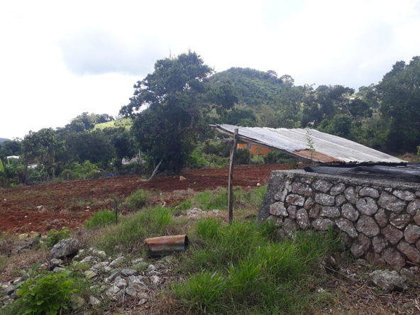 Eighth image of Splitbergen, Chudleigh in Christiana, Manchester, Jamaica - property is For Sale